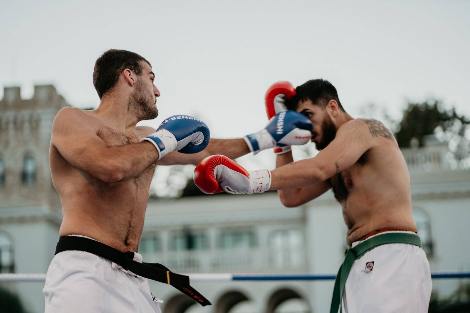 Бойни спортове Бойни спортове